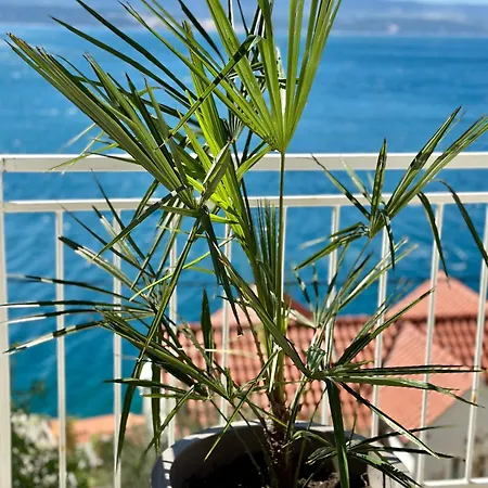 Apartament Sunny Z Widokiem Na Morze